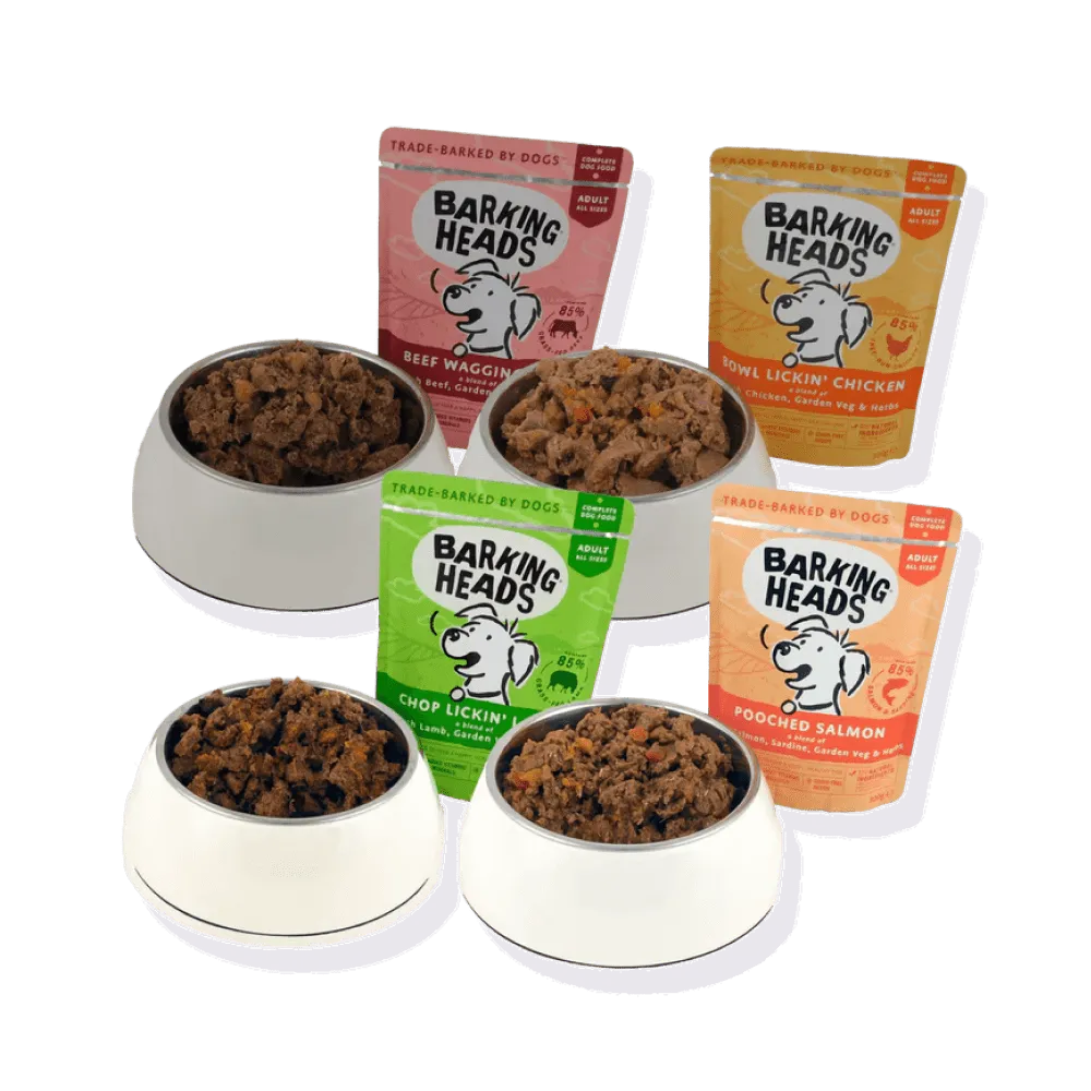 Barking Heads Mega Pack Wet Dog Food 40 x 300g