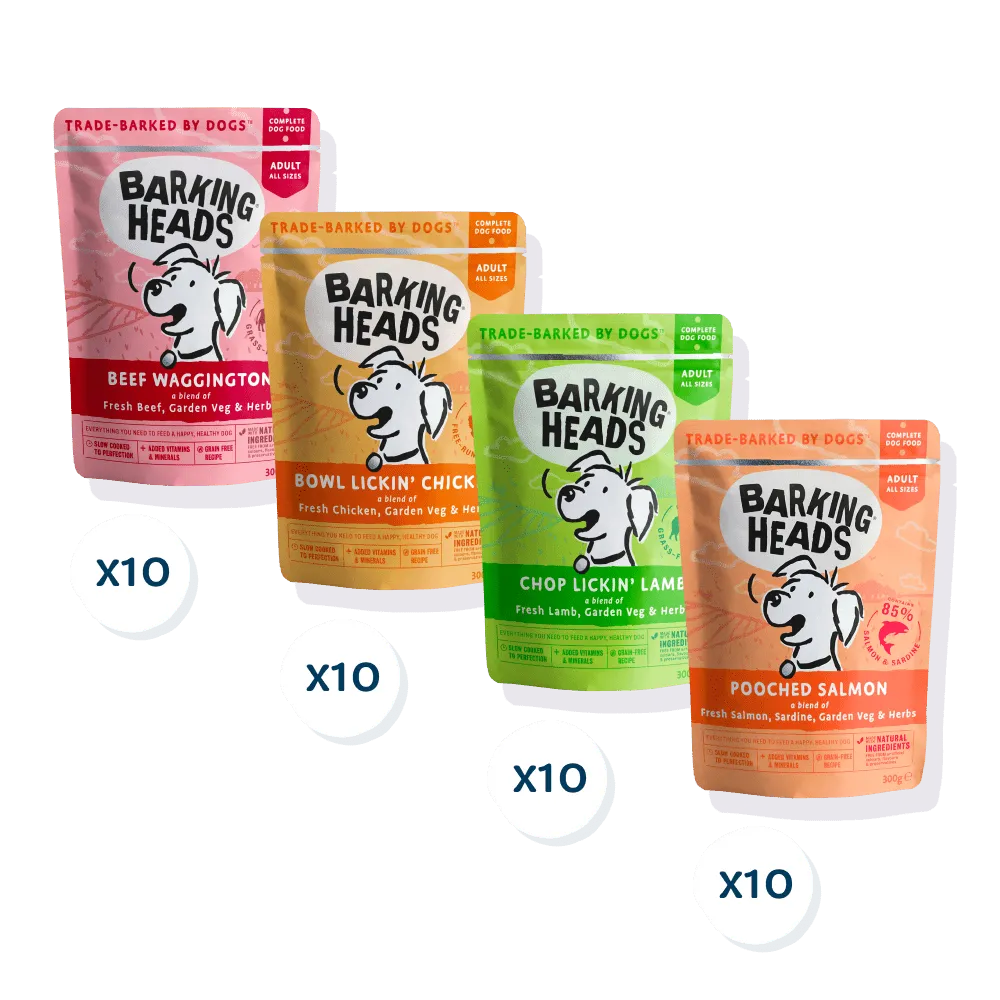 Barking Heads Mega Pack Wet Dog Food 40 x 300g