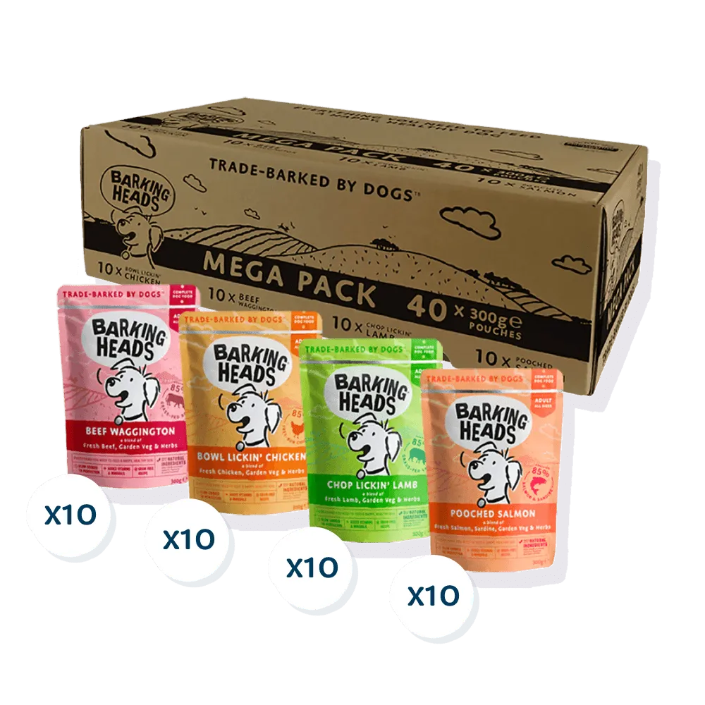 Barking Heads Mega Pack Wet Dog Food 40 x 300g