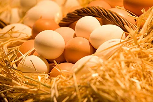Fresh and Honest Foods Dehydrated Whole Eggs 40oz - #10 Can (94 Servings)