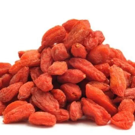 Goji Berry Shrub