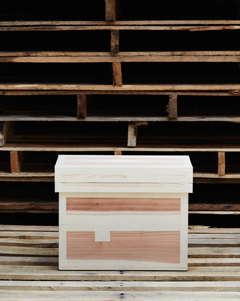 Green Tea Box - 10k (OUT OF STOCK)
