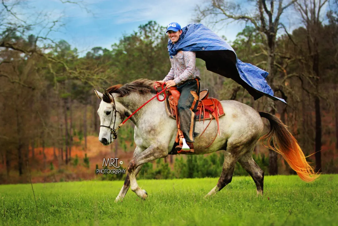 Horse Training Tarp