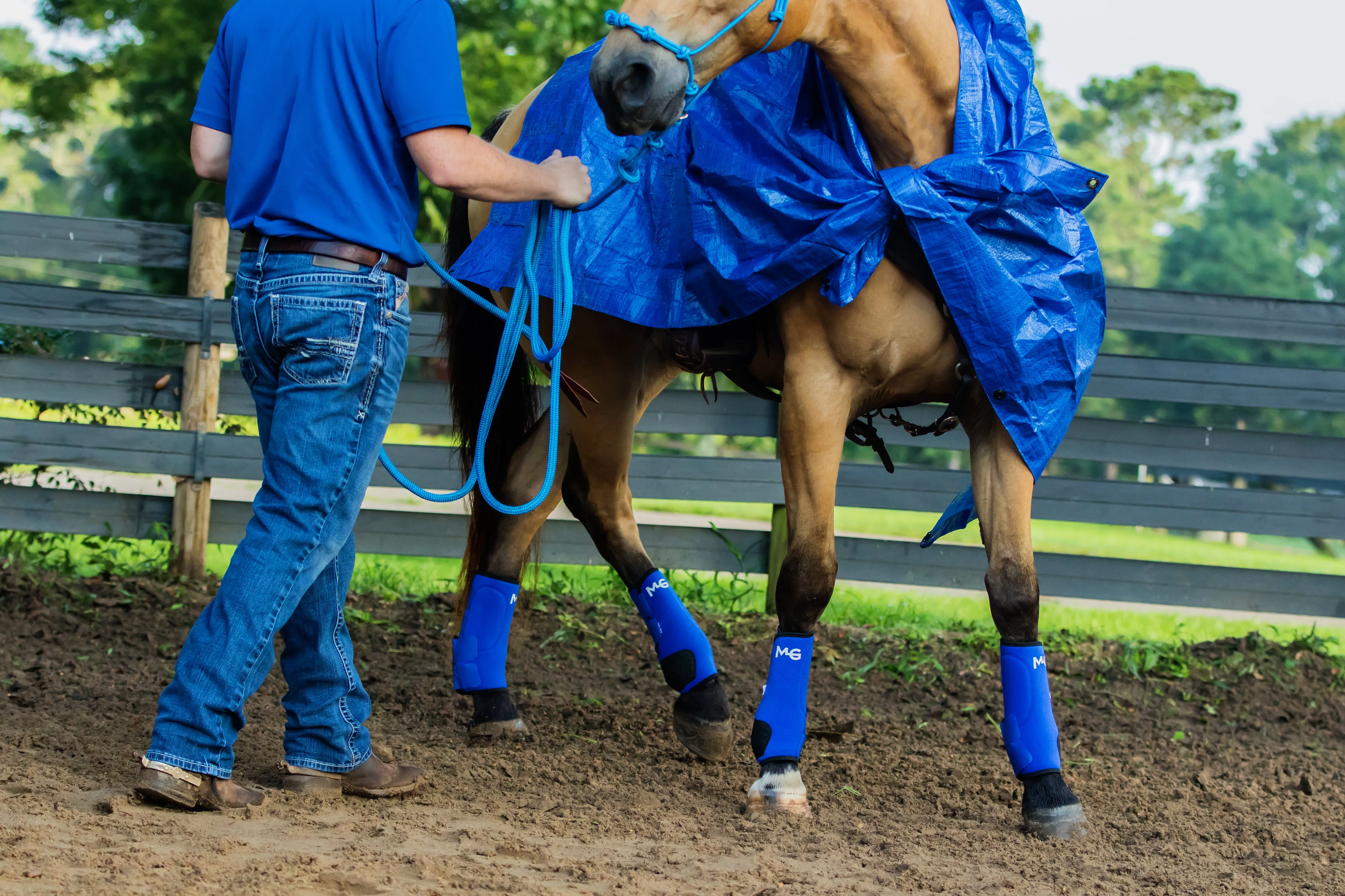 Horse Training Tarp