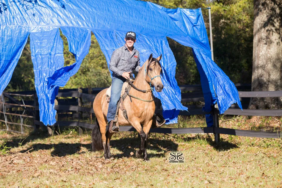Horse Training Tarp