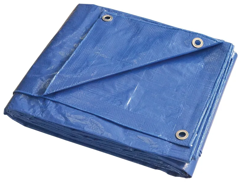 ProSource T1012BB90 Tarpaulin, 12 ft L, 10 ft W, 5 mil Thick, Polyethylene, Blue :EA: QUANTITY: 1