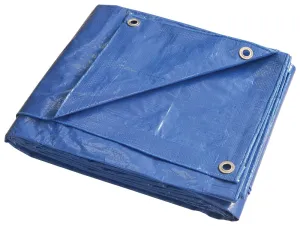 ProSource T1012BB90 Tarpaulin, 12 ft L, 10 ft W, 5 mil Thick, Polyethylene, Blue :EA: QUANTITY: 1