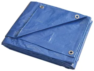 ProSource T1620BB90 Tarpaulin, 20 ft L, 16 ft W, 5 mil Thick, Polyethylene, Blue :EA: QUANTITY: 1