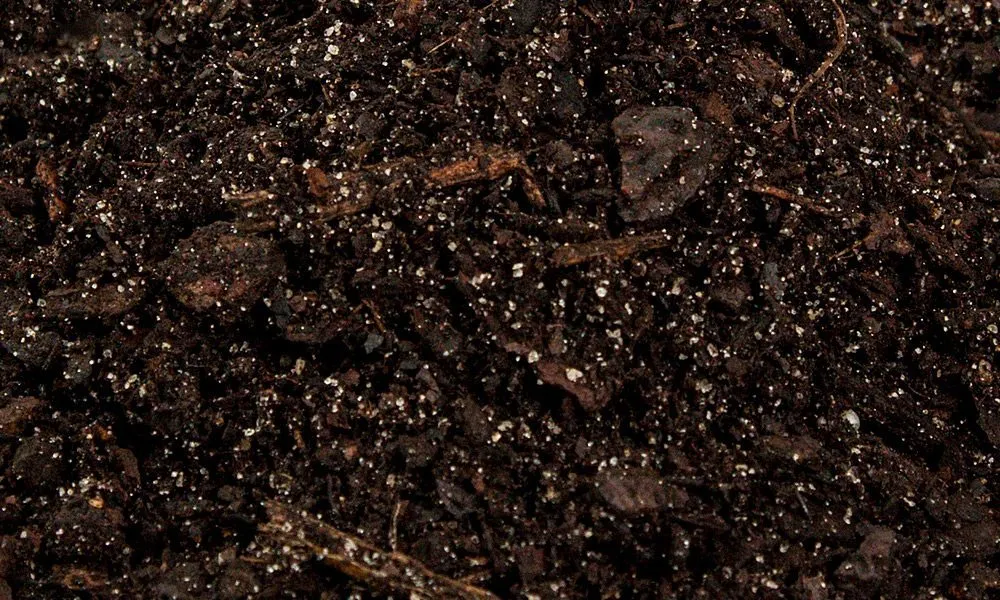 Rose Soil Mix